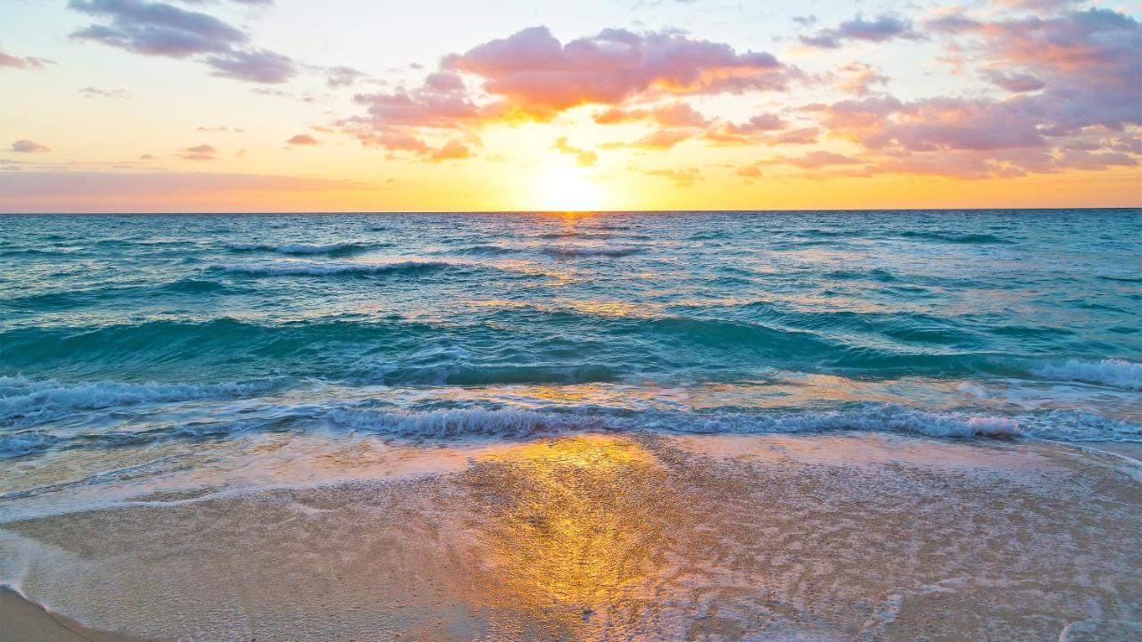Budget Friendly Condo Within Walking Distance To The Beach! Галф Шорс Екстериор снимка